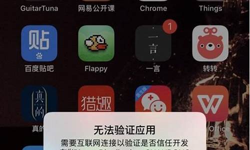 苹果已信任无法验证_苹果已信任无法验证怎