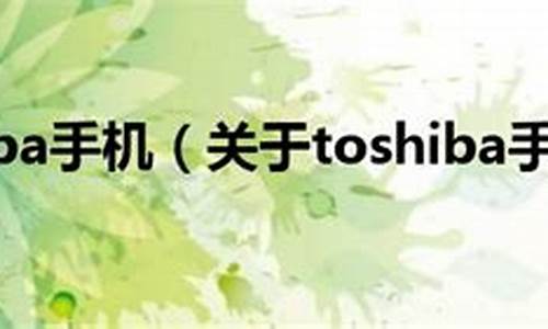 toshiba手机机械硬盘_手机 机械硬